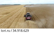 Grain harvester driving on golden wheat fields, rear view, harvesting yellow wheat at summer. Стоковое видео, видеограф Кекяляйнен Андрей / Фотобанк Лори