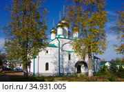 Солотчинский Рождества Богородицы женский монастырь. Cоборный храм Рождества Пресвятой Богородицы. Рязань, Солотча (2020 год). Стоковое фото, фотограф Natalia Sidorova / Фотобанк Лори