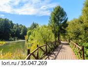 Wooden walkways along the Khimki river. Eco trail. Pokrovskoe-Streshnevo Natural and Historical Park. Moscow. Russia. Стоковое фото, фотограф Николай Коржов / Фотобанк Лори