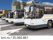 Many tourist buses at the bus station. Стоковое фото, фотограф Юрий Бизгаймер / Фотобанк Лори