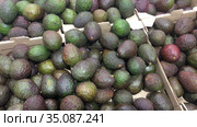 Avocado fruit are on sale in supermarket, close up view as a background. Стоковое видео, видеограф Кекяляйнен Андрей / Фотобанк Лори
