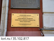 Информационная каменная табличка "Российская академия живописи, ваяния и зодчества Ильи Глазунова, Уральский филиал" на фасаде здания в центре города Перми (2020 год). Редакционное фото, фотограф Юрий Карачев / Фотобанк Лори