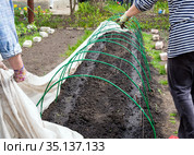 Оборудование мини парника на садовом участке. Стоковое фото, фотограф Вячеслав Палес / Фотобанк Лори