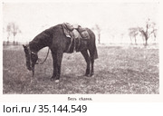 Без седока. Иллюстрация из журнала "Нива" 1915 года. Стоковая иллюстрация, иллюстратор Макаров Алексей / Фотобанк Лори