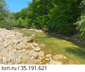 Река Курджипс. Гуамское ущелье, Адыгея (2020 год). Стоковое фото, фотограф Мария Кылосова / Фотобанк Лори