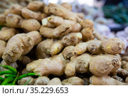 Ginger roots. High quality photo. Стоковое фото, фотограф Яков Филимонов / Фотобанк Лори