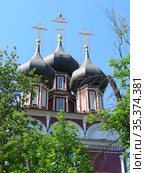 Храм Ризоположения на Донской. Донская улица, 20. Донской район. Город Москва (2011 год). Стоковое фото, фотограф lana1501 / Фотобанк Лори