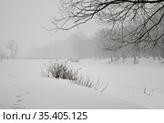 Снегопад в последний день зимы. Москва, городской парк "Останкино" (2021 год). Стоковое фото, фотограф Наталья Николаева / Фотобанк Лори