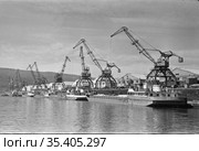 Гавань реки Лена в ясную погоду, одновременная погрузка грузов на несколько кораблей, подъёмные краны перемещают груз на баржи, Осетрово, Чукотка, 1963. Стоковое фото, фотограф Варфоломей Тетерин / Фотобанк Лори