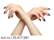 Female hands with black nails manicure isolated on white background. Стоковое фото, фотограф Сергей Пристяжнюк (Serg Zastavkin) / Фотобанк Лори