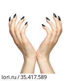 Female hands with black nails manicure isolated on white background. Стоковое фото, фотограф Сергей Пристяжнюк (Serg Zastavkin) / Фотобанк Лори
