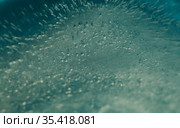 Iced texture with separate small round air bubbles trapped inside. Стоковое фото, фотограф Tamara Kulikova / Фотобанк Лори
