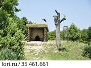 Дольмен в селе Пшада город Геленджик (2020 год). Стоковое фото, фотограф Оксана Синникова / Фотобанк Лори