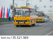 Колонна  венгерских автобусов "Икарус" на ежегодном параде ретротранспорта в честь Дня города. Санкт-Петербург (2019 год). Редакционное фото, фотограф Виктор Карасев / Фотобанк Лори