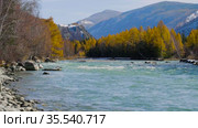 Горный Алтай осенью. Река Катунь. Altai mountains in autumn. Katun river. Стоковое видео, видеограф Евгений Романов / Фотобанк Лори