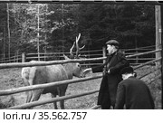 Мужчины гуляют по заповеднику, человек молодого возраста с фотокамерой на шее гладит оленя, животное содержатся в загоне с деревянной оградой, Чехословакия, февраль 1959. Редакционное фото, фотограф Варфоломей Тетерин / Фотобанк Лори