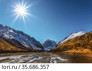 Autumn in the valley of the Akturu river at the foot of the glaciers of the North Chui range. Kosh-Agachsky district, Altai Republic, Russia. Стоковое фото, фотограф Наталья Волкова / Фотобанк Лори