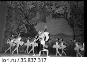 Балет "Лебединое озеро" во время декады якутского искусство в столице, мужчина выполняет поддержку партнёрши во время танца, множество балерин исполняют танец позади них. Редакционное фото, фотограф Варфоломей Тетерин / Фотобанк Лори