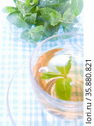 Spearmint. Стоковое фото, агентство Ingram Publishing / Фотобанк Лори