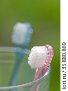 Toothbrsh. Стоковое фото, агентство Ingram Publishing / Фотобанк Лори