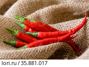 Chilis. Стоковое фото, агентство Ingram Publishing / Фотобанк Лори