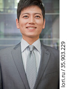 Portrait of Smiling Businessman. Стоковое фото, агентство Ingram Publishing / Фотобанк Лори