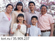 Portrait of a smiling multi-generational family amongst the cherry trees and enjoying the park in the springtime. Стоковое фото, агентство Ingram Publishing / Фотобанк Лори