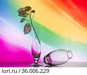 Стеклянные вазы на радужном фоне. Стоковое фото, фотограф Наталия Валерьевна Потапова / Фотобанк Лори
