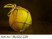 One ripe yellow pomelo in a rope package on a dark background. Стоковое фото, фотограф Алексей Голованов / Фотобанк Лори