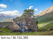 В верховьях Джейрахского ущелья. Республика Ингушетия. Стоковое фото, фотограф Сергей Афанасьев / Фотобанк Лори