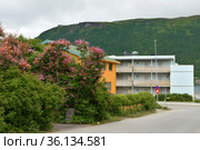 City landscape. Street with flowering trees and bushes against background of mountains. Tromso, Norway (2016 год). Стоковое фото, фотограф Валерия Попова / Фотобанк Лори