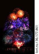 Beautiful fireworks in night sky. Стоковое фото, фотограф ElenArt / Фотобанк Лори