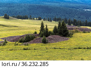 Пазырыкские погребения - курганы скифского типа, курганы-тумулусы. Улаганский район республики Алтай. Стоковое фото, фотограф Евгений Мухортов / Фотобанк Лори