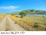 Dirt road to the lake near the mountains. Стоковое фото, фотограф Юрий Бизгаймер / Фотобанк Лори