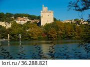 View of Tour Philippe Le Bel in France, Villeneuve lez Avignon. Стоковое фото, фотограф Яков Филимонов / Фотобанк Лори
