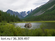 Небольшой плес на реке Шавле. Август, Горный Алтай. Стоковое фото, фотограф Сергей Рыбин / Фотобанк Лори