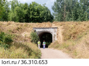 Южные ворота. Форт "Шанц" ("Александр-шанец"). Государственный природный заказник "Западный Котлин". Кронштадт. Санкт-Петербург (2021 год). Редакционное фото, фотограф Румянцева Наталия / Фотобанк Лори