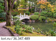 Kyu-yasuda garden, a small japanese stroll garden located in Ryogoku. Tokyo. Japan (2019 год). Стоковое фото, фотограф Сергей Пристяжнюк (Serg Zastavkin) / Фотобанк Лори