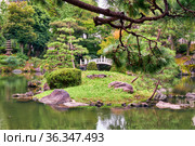 Kyu-yasuda garden, a small japanese stroll garden located in Ryogoku. Tokyo. Japan (2019 год). Стоковое фото, фотограф Сергей Пристяжнюк (Serg Zastavkin) / Фотобанк Лори
