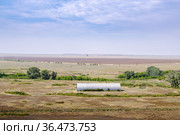Summer sheepfold in the steppe pasture. The picture was taken in Russia, in the Orenburg region. Стоковое фото, фотограф Вадим Орлов / Фотобанк Лори