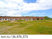 Каземат и территория морского форта "Западный". Балтийск, Калининградская область (2020 год). Стоковое фото, фотограф Ирина Борсученко / Фотобанк Лори