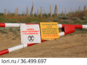 Вид на виноградники у пгт Коктебель. Крым (2021 год). Редакционное фото, фотограф Роман Рожков / Фотобанк Лори