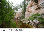 Карстовые ландшафты и река Карьяла. Россия, Архангельская область, Пинежский район. Стоковое фото, фотограф Яковлев Сергей / Фотобанк Лори