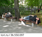 Два пьяных мужчины спят на скамейках в сквере (2014 год). Редакционное фото, фотограф Ирина Борсученко / Фотобанк Лори