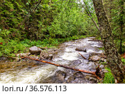 Водопады на реке Жигалан. Пермский край. Россия. Стоковое фото, фотограф Евгений Ткачёв / Фотобанк Лори