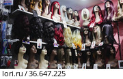Various natural hair wigs for sale on mannequins on shelves of specialized store (2020 год). Редакционное видео, видеограф Яков Филимонов / Фотобанк Лори