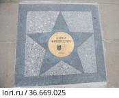 Алиса Фрейндлих. Звезда перед зданием театра юных зрителей имени А. А. Брянцева (ТЮЗ имени А. А. Брянцева). Санкт-Петербург (2021 год). Редакционное фото, фотограф E. O. / Фотобанк Лори
