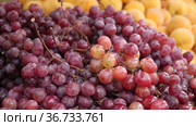 Bunches of ripe organic red grape for sale in the product store. Стоковое видео, видеограф Яков Филимонов / Фотобанк Лори