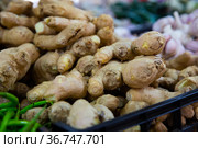 Ginger roots. Closeup of raw ginger roots. Стоковое фото, фотограф Яков Филимонов / Фотобанк Лори