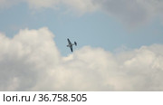 Sports airplane show stunts (2019 год). Редакционное видео, видеограф Игорь Жоров / Фотобанк Лори